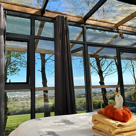 Sky Gazer Cabin In The Woods Dublin Buitenkant foto
