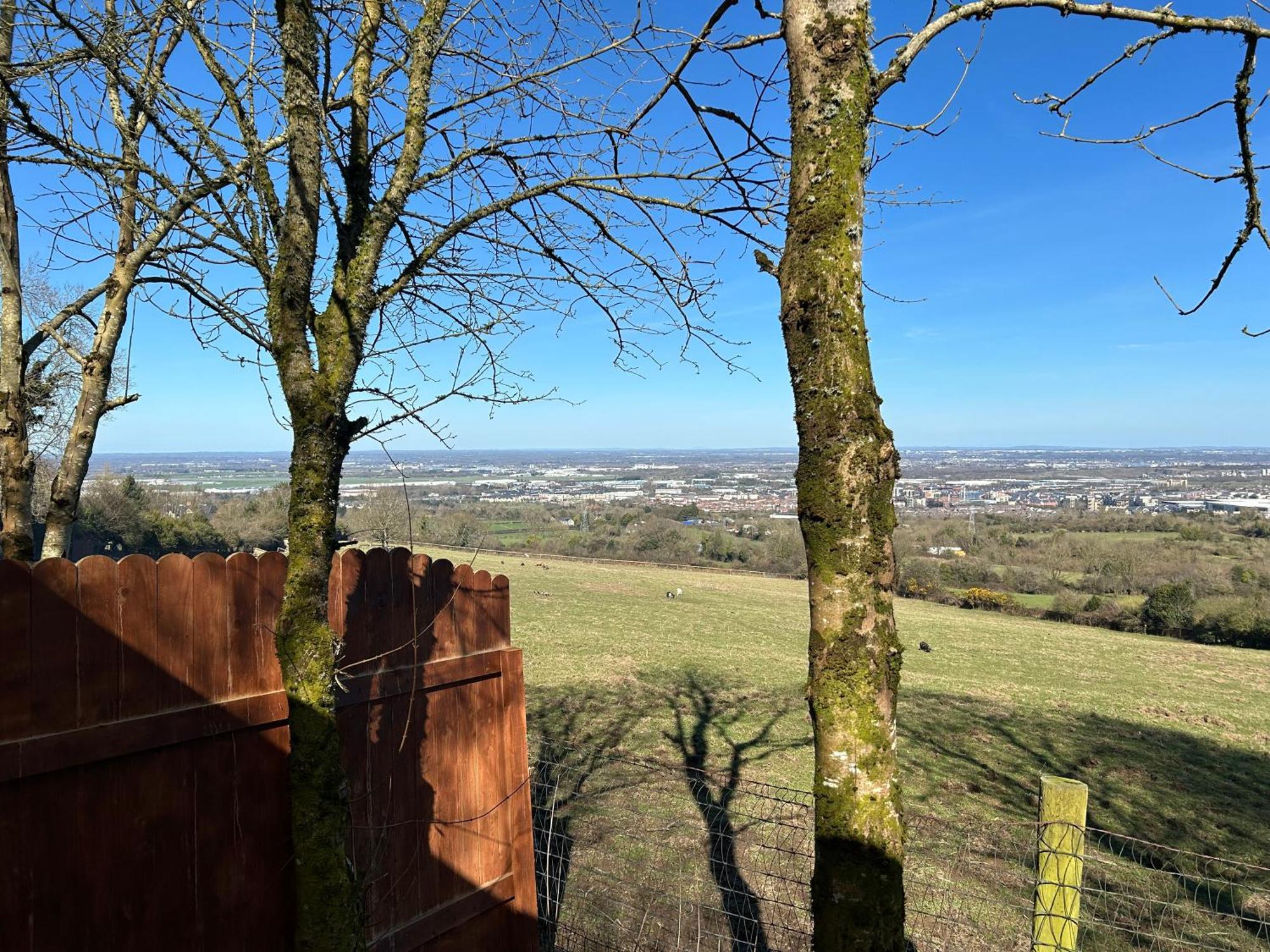 Sky Gazer Cabin In The Woods Dublin Buitenkant foto